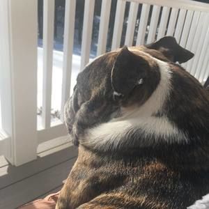 Meet your Posher, Keely